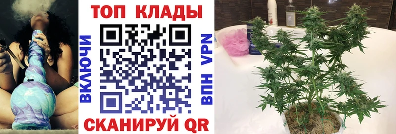A PVP Луза