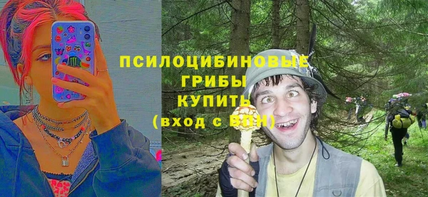 PSILOCYBIN Михайловка